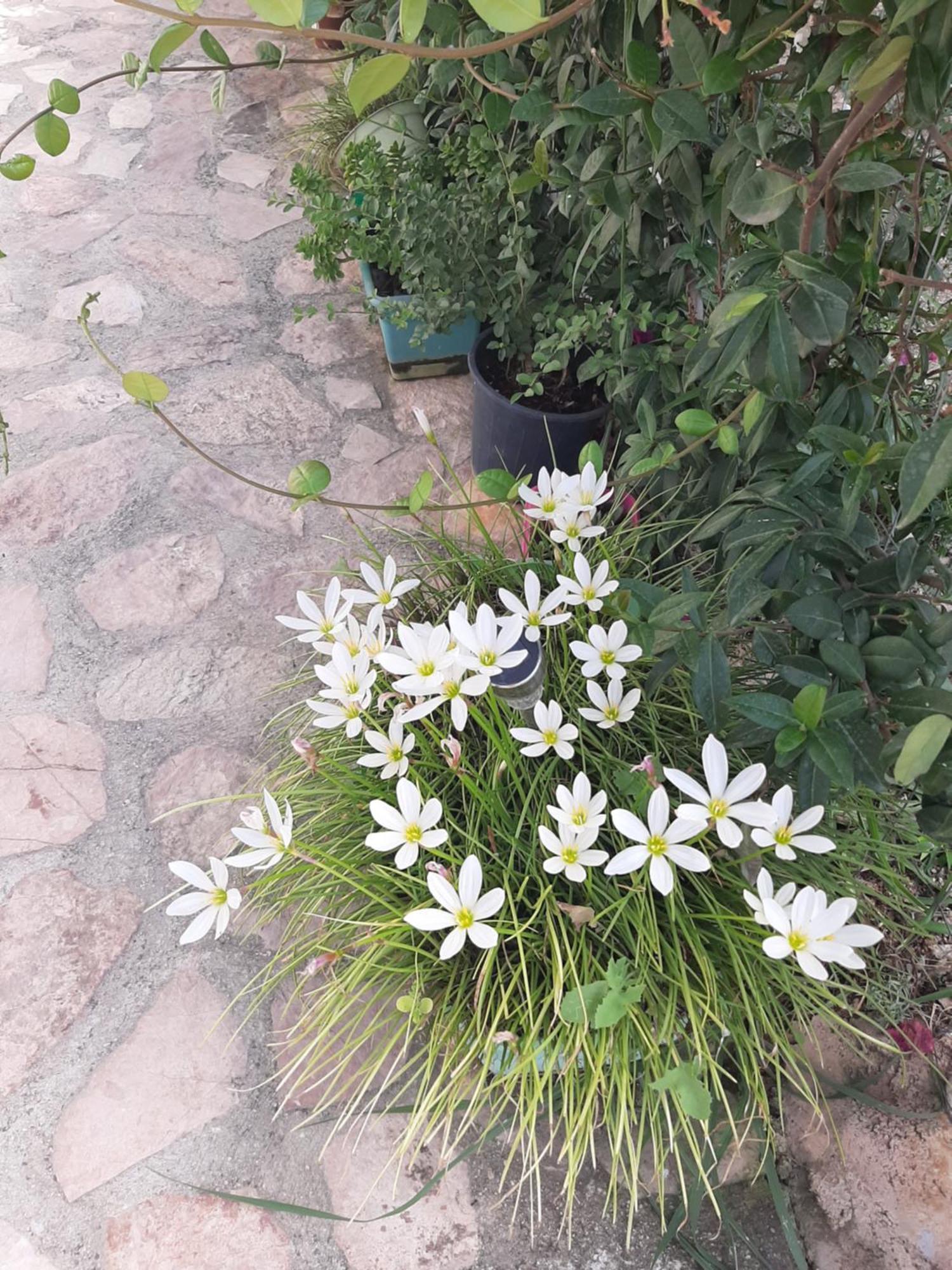 Denni'S Home Sarande Ngoại thất bức ảnh