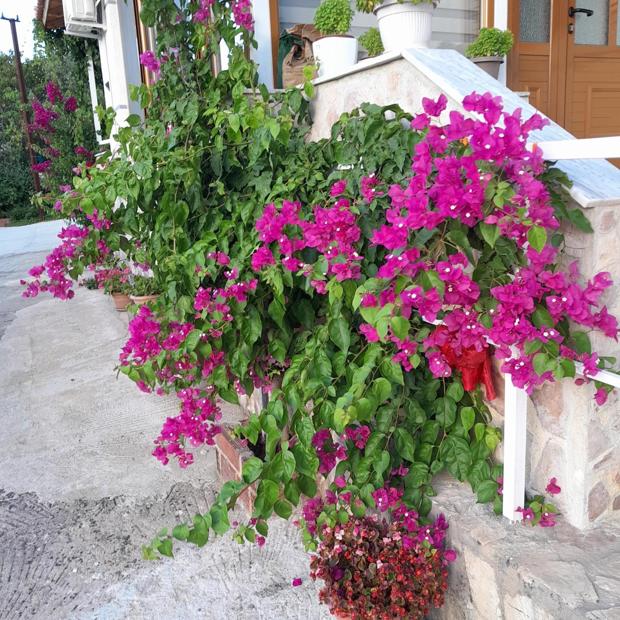Denni'S Home Sarande Ngoại thất bức ảnh