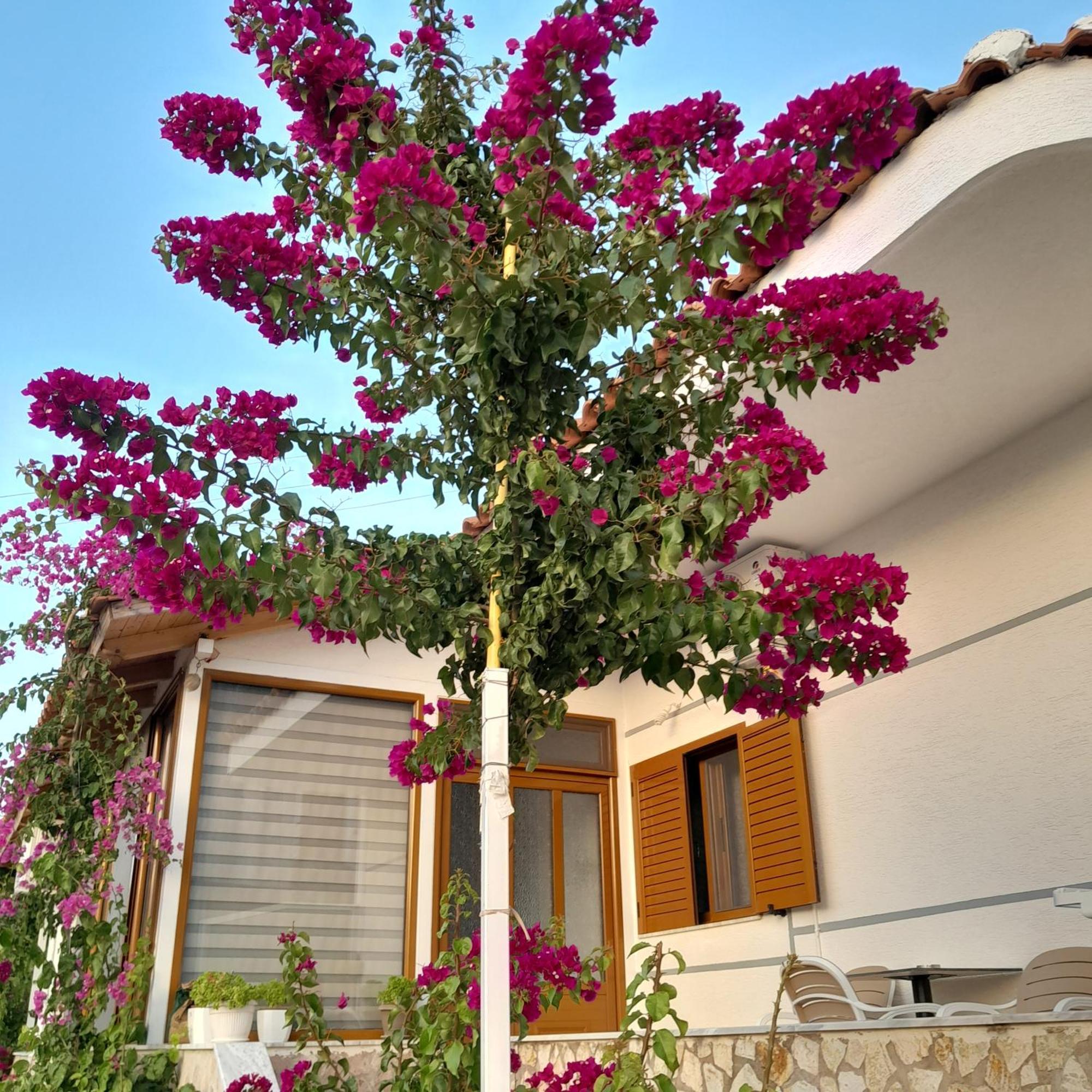 Denni'S Home Sarande Ngoại thất bức ảnh